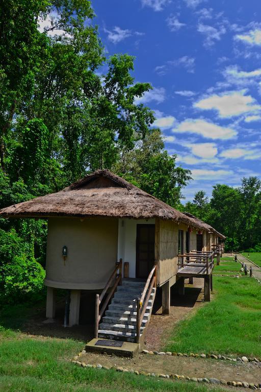 Temple Tiger Green Jungle Resort Kawasoti Room photo